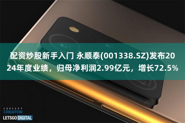 配资炒股新手入门 永顺泰(001338.SZ)发布2024年度业绩，归母净利润2.99亿元，增长72.5%